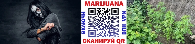 Купить закладку СК  Каннабис  Кокаин  Меф мяу мяу  Гашиш  Кузнецк